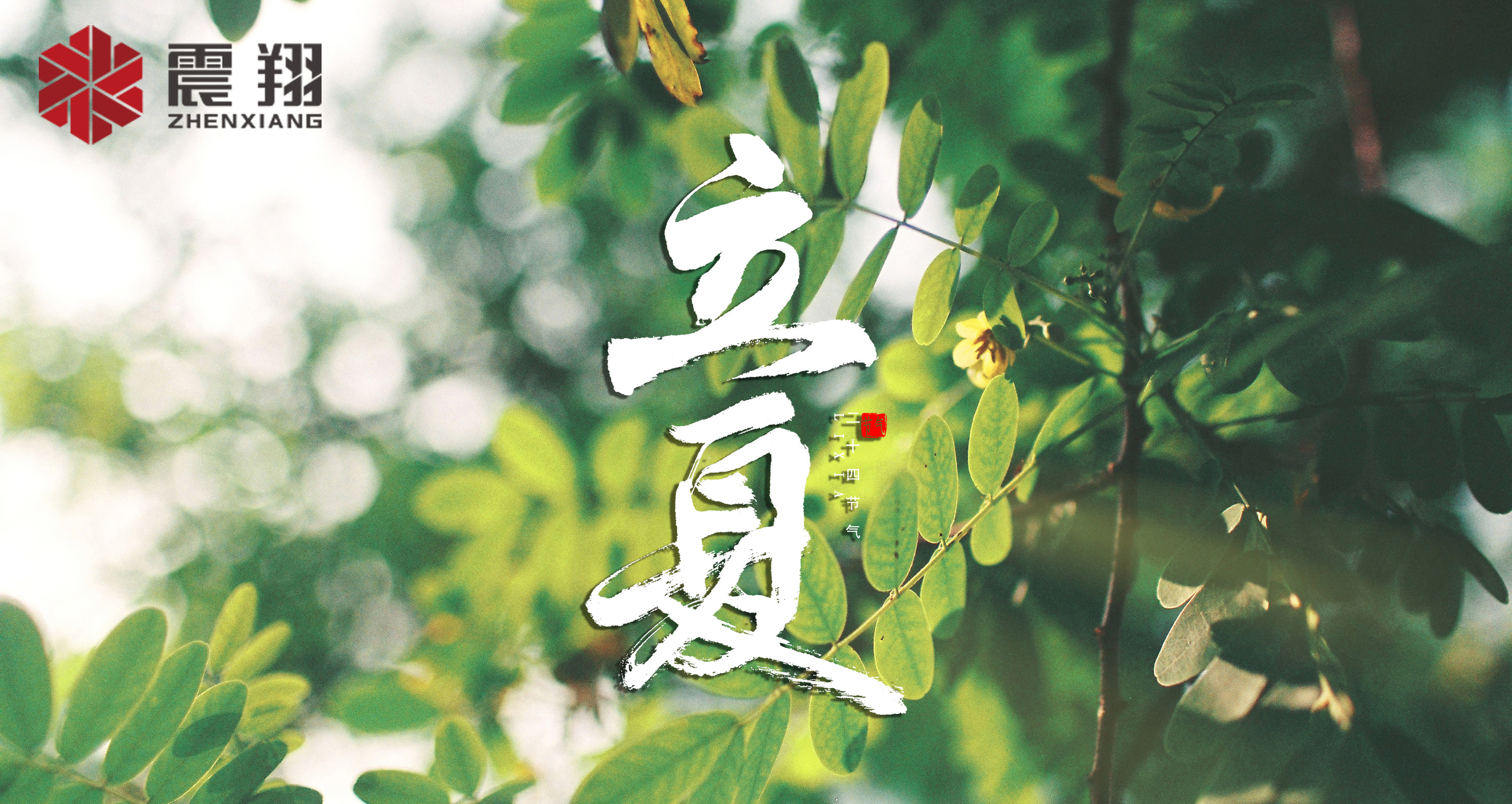 【立夏】春去春來不曾留意，夏日當歸，撲面而來